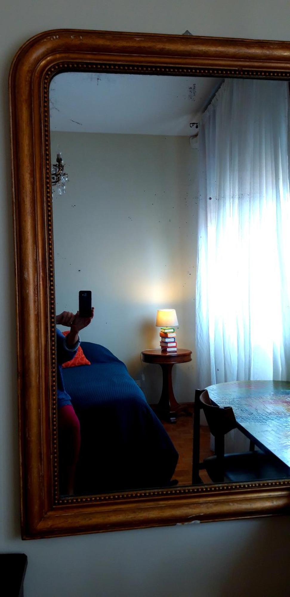 Camera Luminosa Ed Elegante Hotell Bologna Exteriör bild